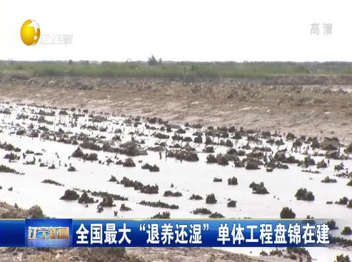全國最大“退養(yǎng)還濕”單位工程盤錦在建